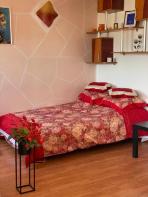 Charming Quiet Studio Coltea Old Town in the centre of Bucharest